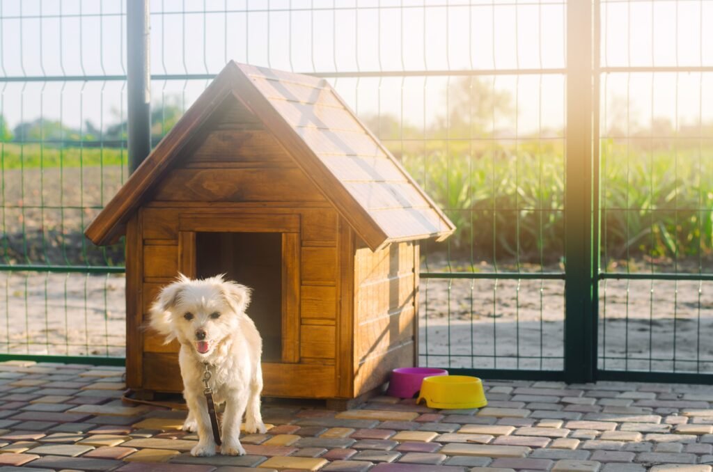mr dog house dubai